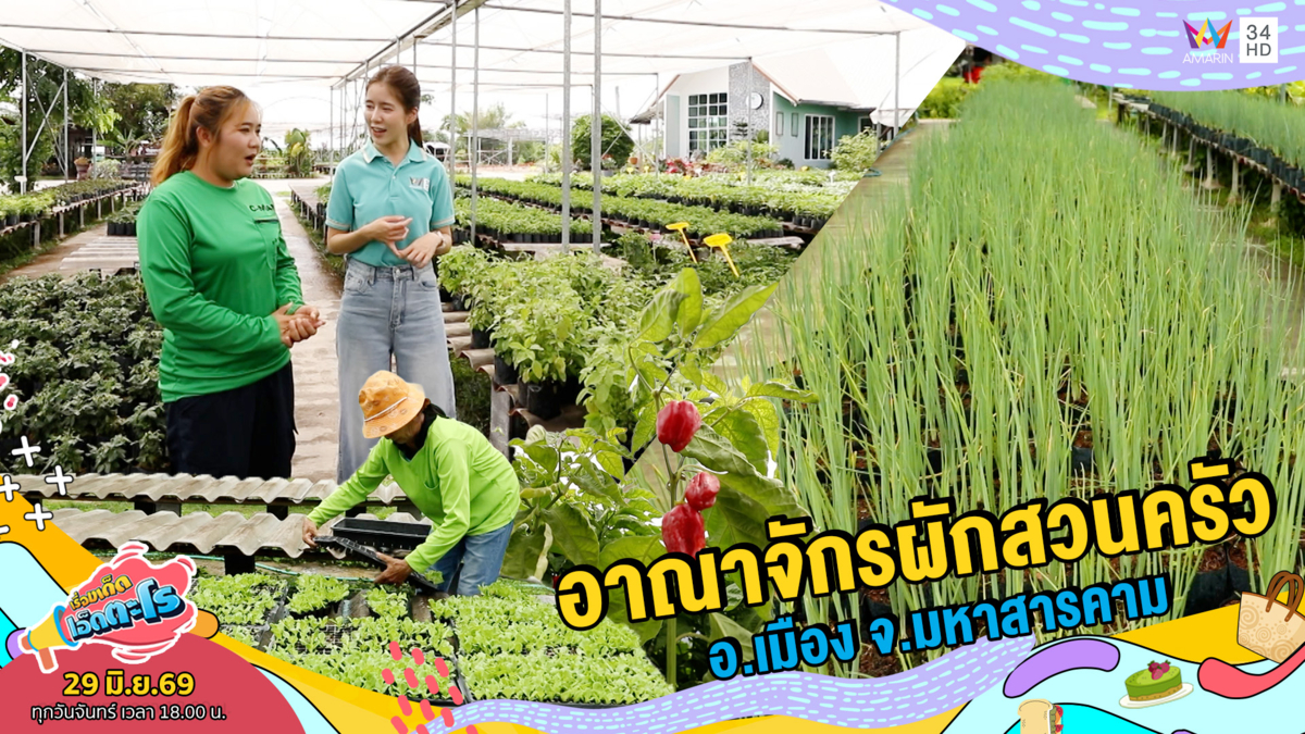 อาณาจักรผักสวนครัว อ.เมือง จ.มหาสารคาม
