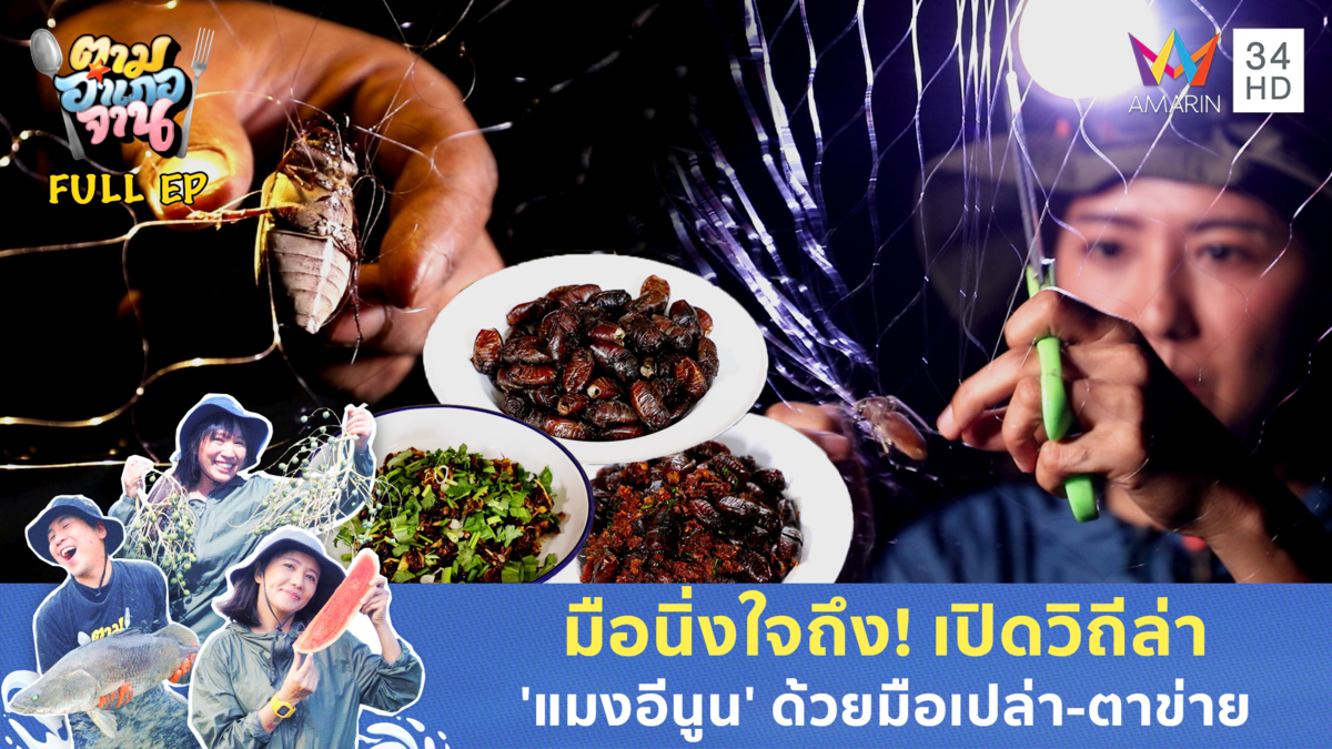 รวมแก๊งพรานแมลง! ลุยเกาะกลางน้ำตามหา 'แมงอีนูน' ตัวเบิ้ม