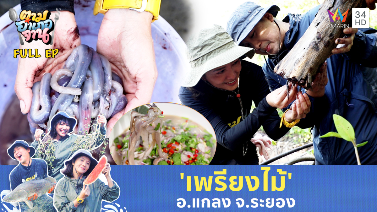 'เพรียงไม้' ของดีเมืองแกลงที่ใครได้ลองเป็นต้องซี้ด