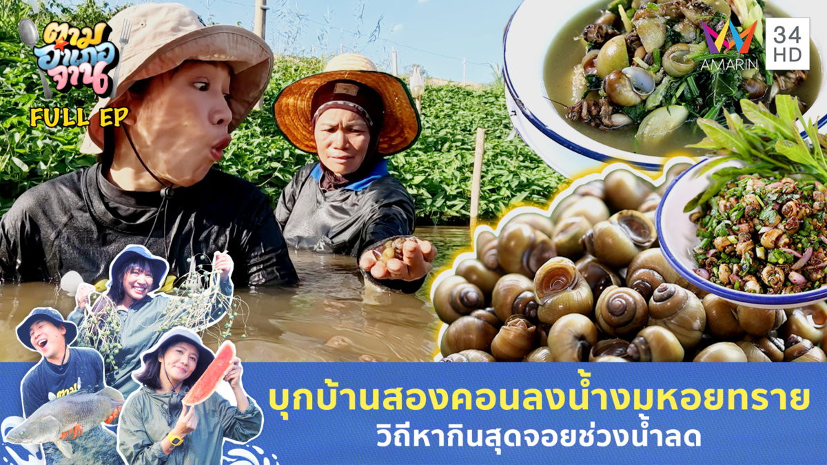 งมหอยทรายริมโขง อ.โพธิ์ไทร จ.อุบลราชธานี