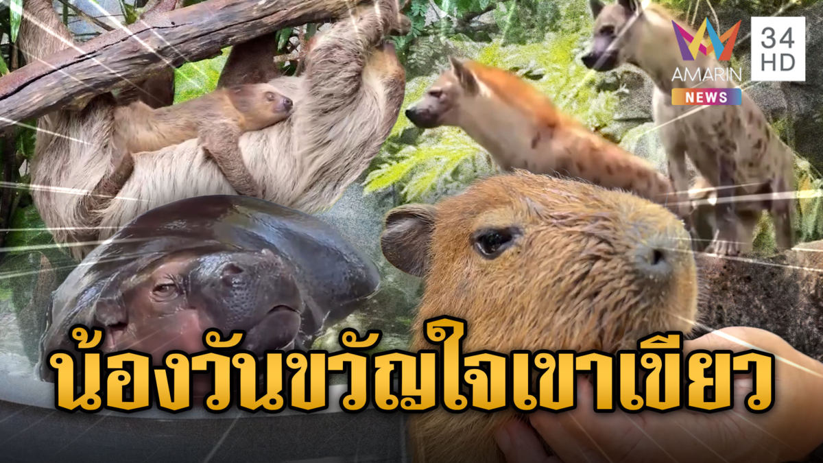 สวนสัตว์เขาเขียวเปิดตัวสมาชิกใหม่ “น้องวัน” คาปิบาร่าสุดน่ารัก