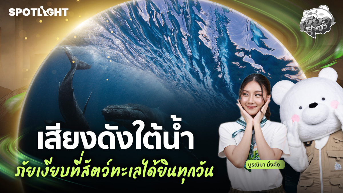 เขียวสุดขั้ว EP.21 | เสียงดังใต้น้ำ ภัยเงียบที่สัตว์ทะเลได้ยินทุกวัน