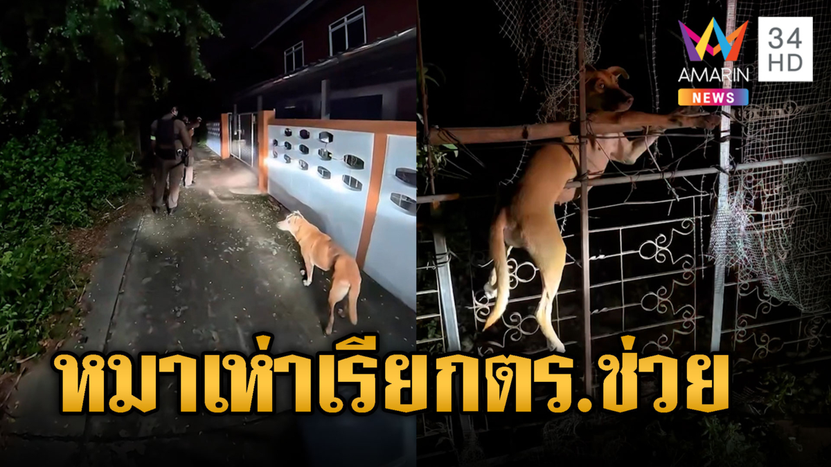 ซึ้งใจหมาเห่าไม่หยุด เรียก ตร.ช่วยเพื่อนติดซี่เหล็ก