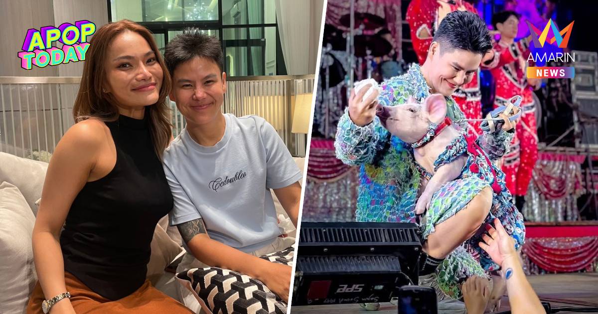 "ใหม่ พัชรี" ชู "สาวตือ" หมูหาเงินเอง ทุ่มเงินสดสยบดรามาบ้าน 40 ล.