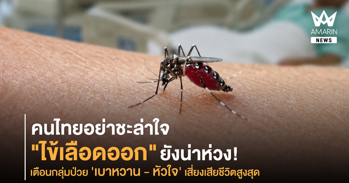 กรมควบคุมโรค เตือน “ไข้เลือดออก” ยังน่าห่วง! กลุ่มป่วย ‘เบาหวาน - หัวใจ’ และผู้สูงอายุ เสี่ยงเสียชีวิตสูงสุด