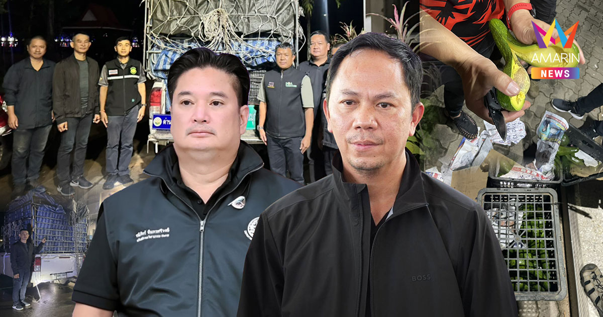 ศพร.-กรมวิชาการเกษตรสกัดอะโวคาโดเถื่อน 2.24 ตัน ขยายผลกวาดล้างทั้งระบบ