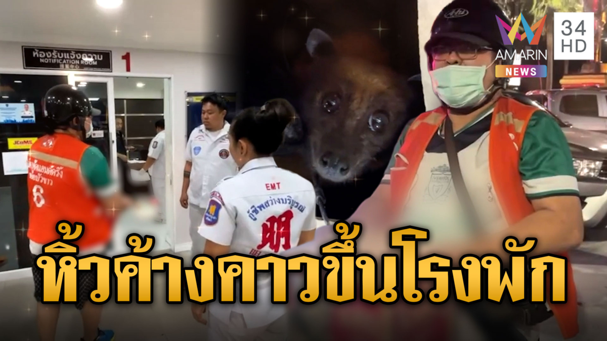 งงทั้งโรงพัก วิน จยย.หิ้วค้างคาวแม่ไก่ส่งตำรวจช่วยตรวจ