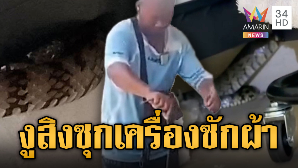 กู้ภัยช่วยวุ่น จับงูสิงซุกเครื่องซักผ้า
