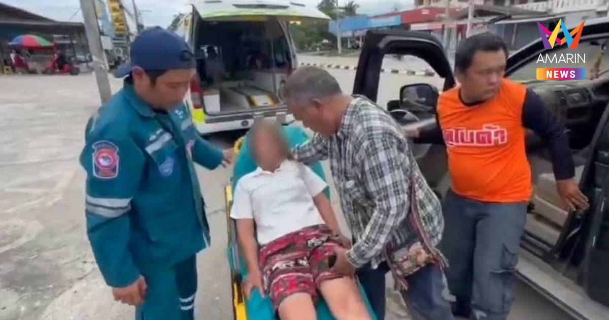 สาวลำปางตัดไม้ในสวน แตนรุมต่อย 3 แผล วูบหมดสติกะทันหัน ญาติหามส่ง รพ.