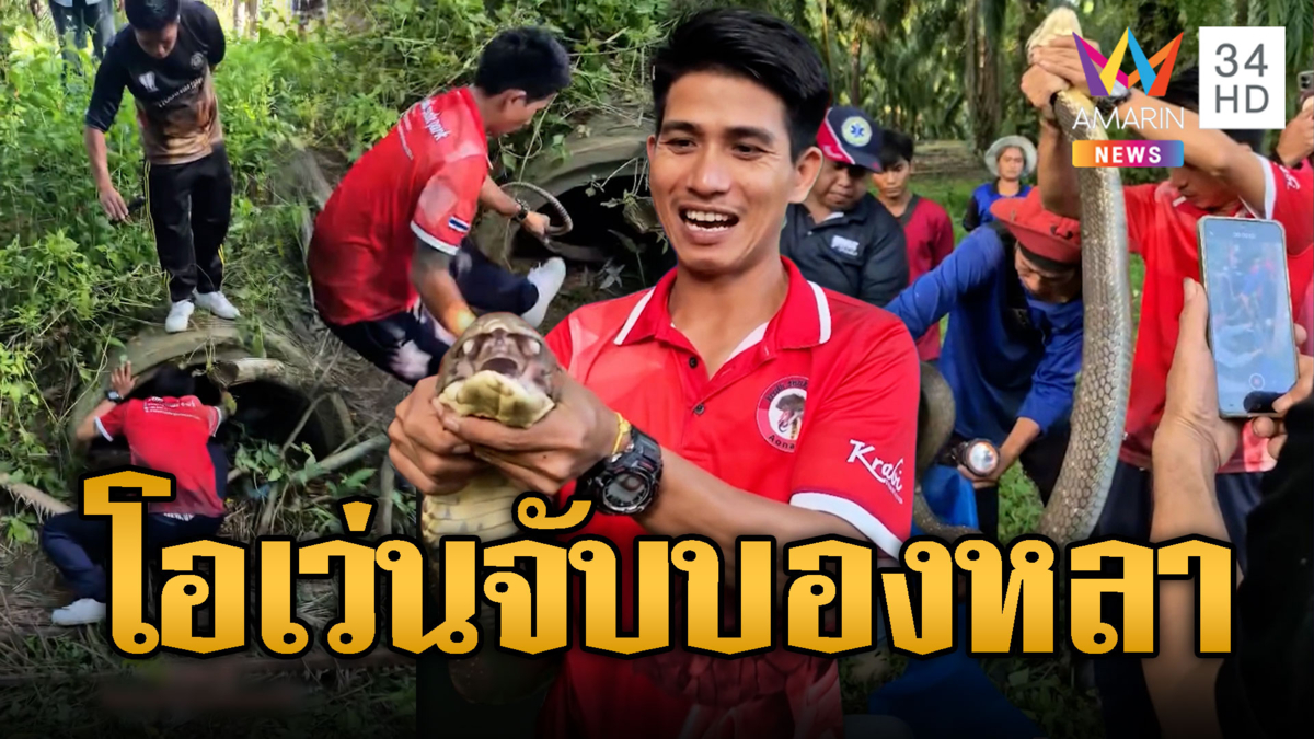 โอเว่นลีลาสุดพริ้ว! จับบองหลายักษ์มุดตามถึงในท่อ