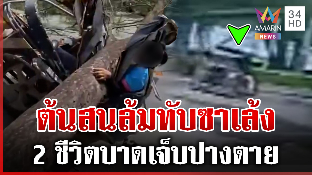 นาทีระทึก! ต้นสนล้มทับซาเล้ง 2 ชีวิตเจ็บปางตาย
