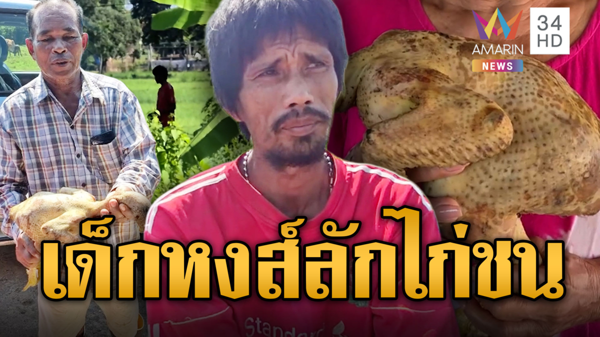 ลุงถูกเด็กหงส์ลักไก่ชน จับถอนขนเกลี้ยง