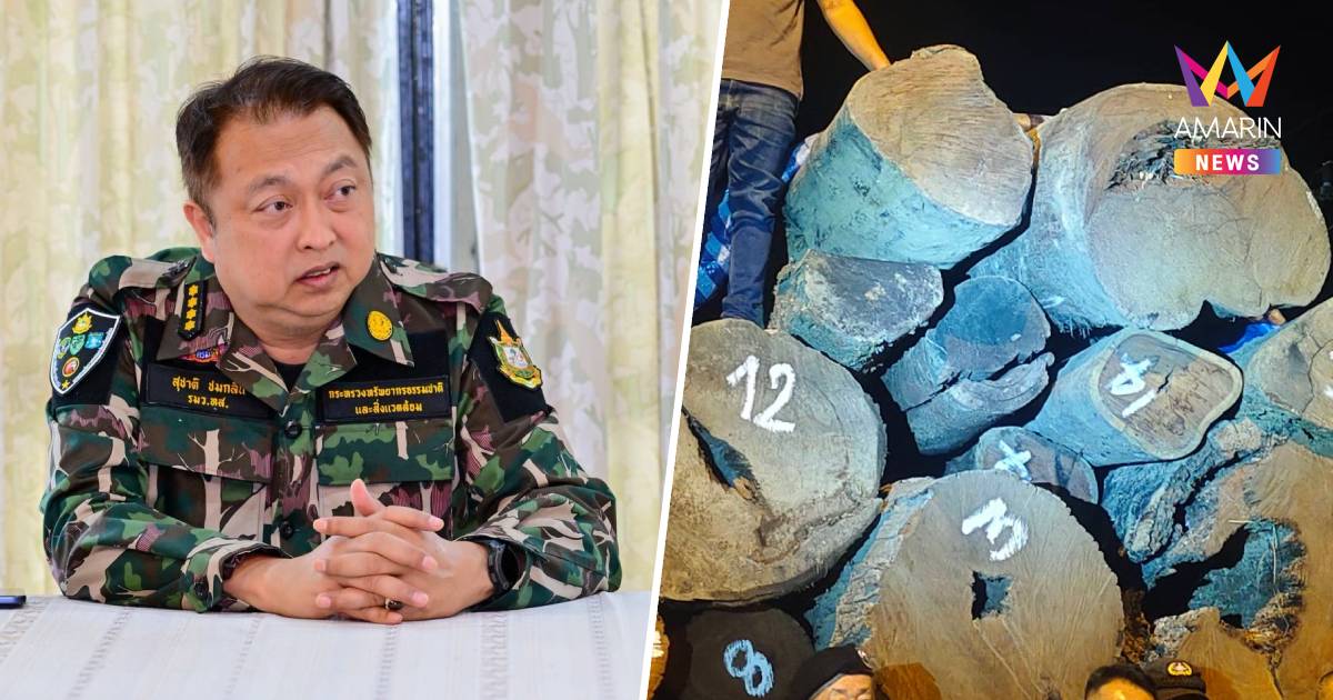 “สุชาติ” สั่ง ทลายโกดัง ยึดไม้ประดู่ 109 ท่อน กวาดล้างทุนข้ามชาติ