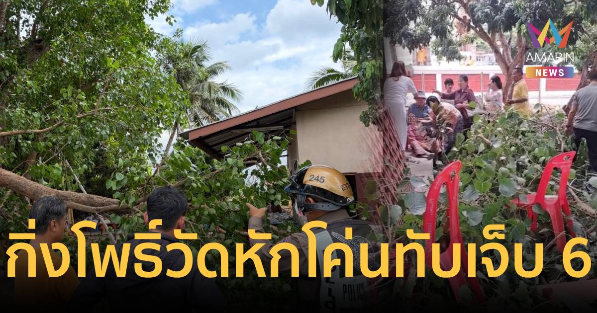 ระทึก! กิ่งโพธิ์ยักษ์อายุ 100 ปี หักกลางวัด ทับผู้ร่วมงานบุญเจ็บ 6
