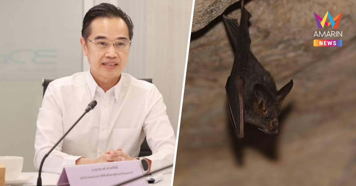 ดีอี ยันข่าวจริง "พบเชื้อไวรัสโคโรนาสายพันธุ์ใหม่ในตัวค้างคาวไทย"