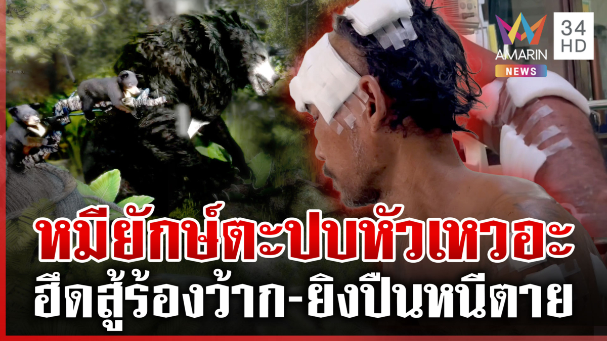 นาทีชีวิตถูกหมียักษ์เท่าถัง 200 ลิตร พร้อมลูกอีก 2 ตัวตะปบเกือบตาย