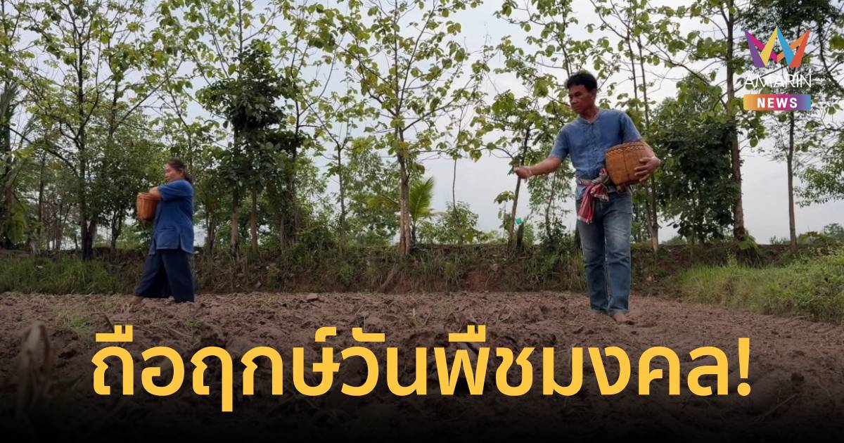ฤกษ์ดีปี 69! หว่านข้าวนาปีวันพืชมงคล ใช้รถไถเดินตามลดค่าใช้จ่าย 7 เท่า