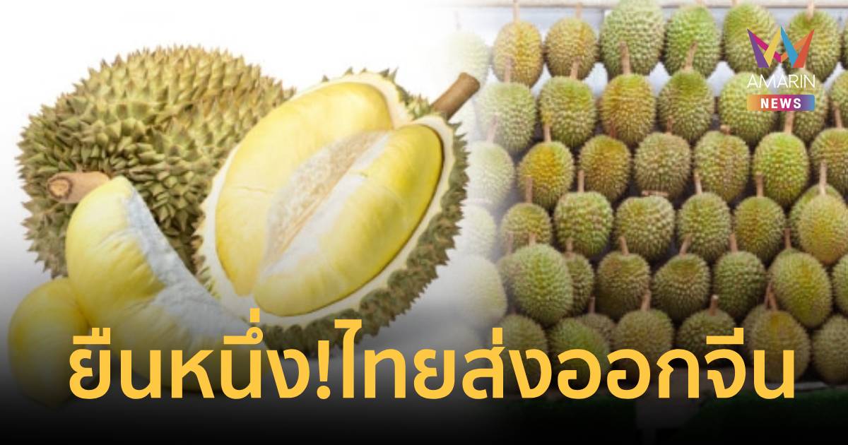 ไทยยืนหนึ่ง! ส่งออกทุเรียนไปจีน พุ่ง 1.8 ล้านตัน 