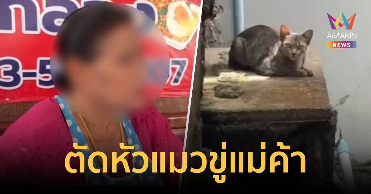 อำมหิต! ตัดหัวแมวทิ้งหลังบ้านร้านอาหารตามสั่งที่จันทบุรี