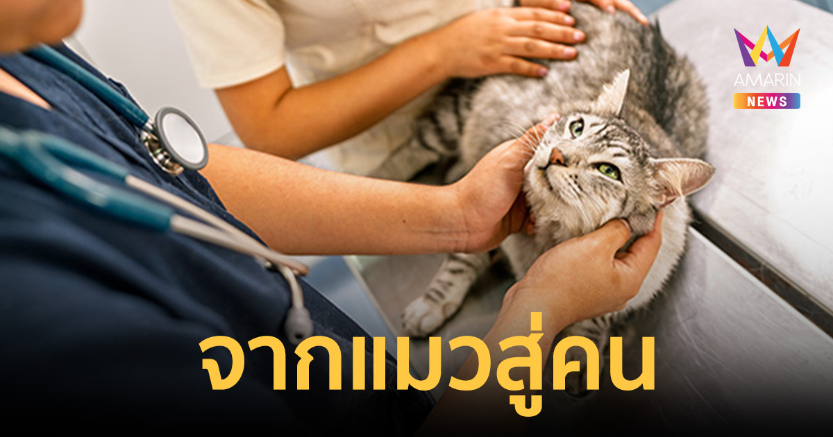 CDC สหรัฐฯ ยืนยันเคสแรก! ไข้หวัดนก H5N1 แพร่จาก 