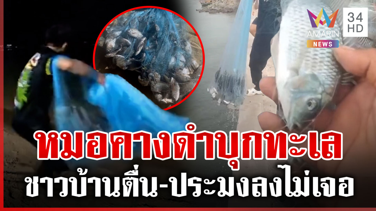 แพร่พันธุ์สยอง! ปลาหมอคางดำบุกทะเล ทอดแห่เจอพรึ่บ