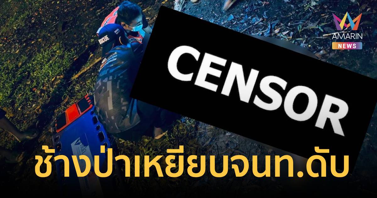 สลด! เจ้าหน้าที่พิทักษ์ป่า ถูกช้างเขาอ่างฤาไนเหยียบดับ
