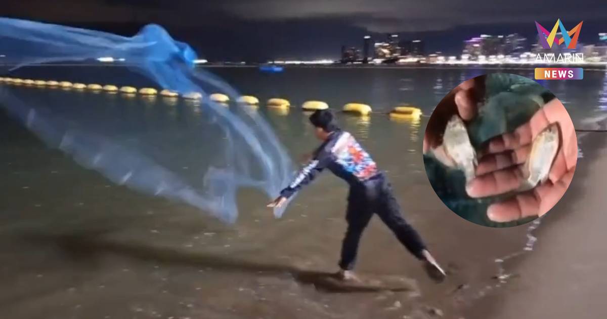 ยังไม่หมด! ชาวบ้านทอดแหเจอ "ลูกหมอคางดำ" โผล่หาดพัทยาอีก