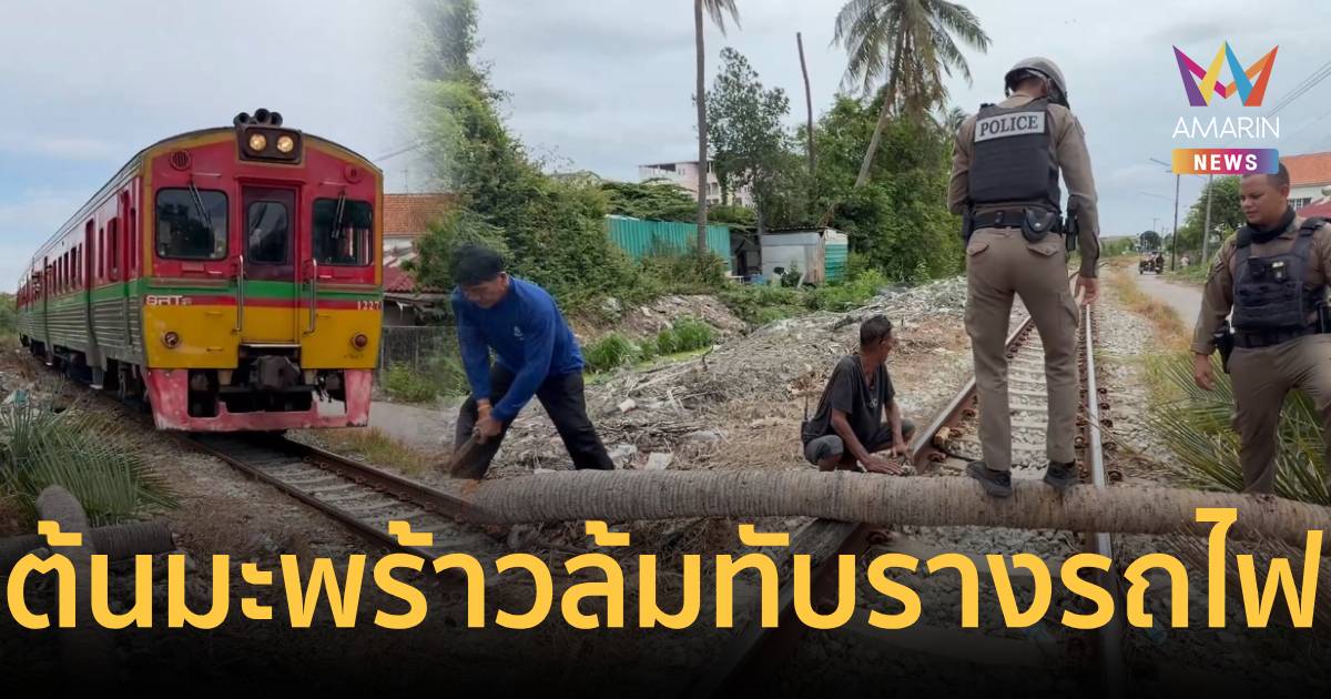 ด่วน! ต้นมะพร้าวยักษ์ ล้มทับรางรถไฟแม่กลอง-จนท.เร่งตัดเคลียร์