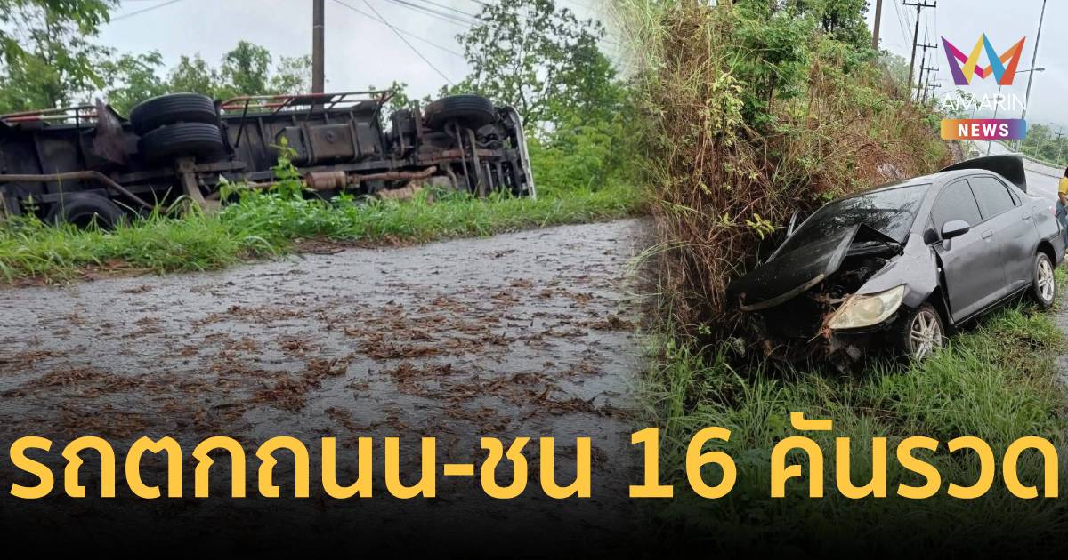 แมงเม่าเป็นเหตุ! ทำถนนลื่นรถชน-ตกข้างทางรวดเดียว 16 คัน