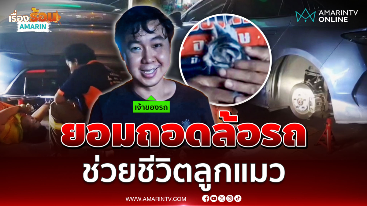 หนุ่มสั่งถอดล้อรถไฟฟ้าหรูทันที ช่วยชีวิตลูกแมวร้องระงมใต้ท้องรถ