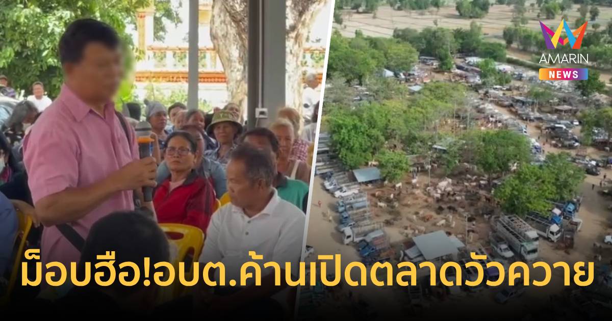 ม็อบเลี้ยงวัวควาย 700 คนลุกฮือ! บุกประท้วง อบต. ปมสั่งค้านเปิดตลาดนัด