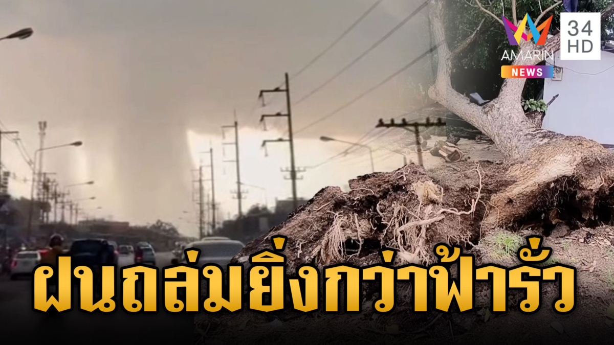 เรนบอมบ์ถล่มปราจีนฯ ลมโหมซัดต้นไม้โค่น