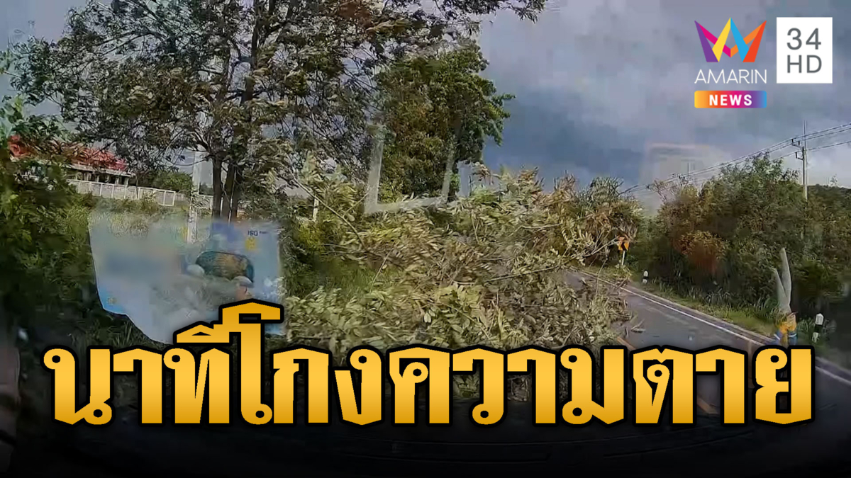 พระคุ้มครองของแท้! นาทีรอดตายต้นไม้หักต่อหน้า