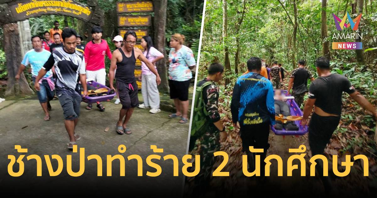 ระทึก! 2 นักศึกษา ถูกช้างป่าทำร้าย บนเส้นทางศึกษาธรรมชาติน้ำตกกรุงชิง