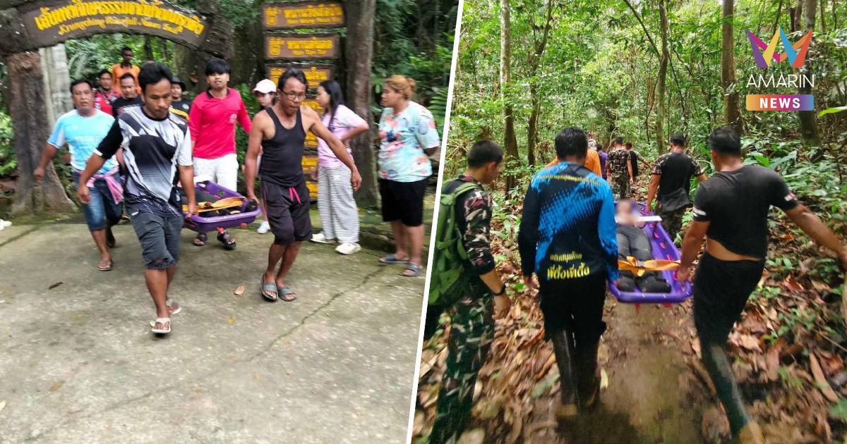 ระทึก! 2 นักศึกษา ถูกช้างป่าทำร้าย บนเส้นทางศึกษาธรรมชาติน้ำตกกรุงชิง