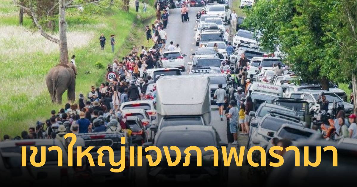 อุทยานฯเขาใหญ่ แจงภาพดรามา 
