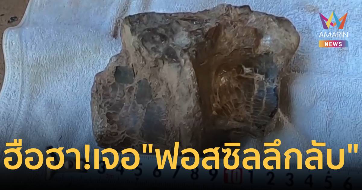 ฮือฮา! ชาวบ้านพบ 