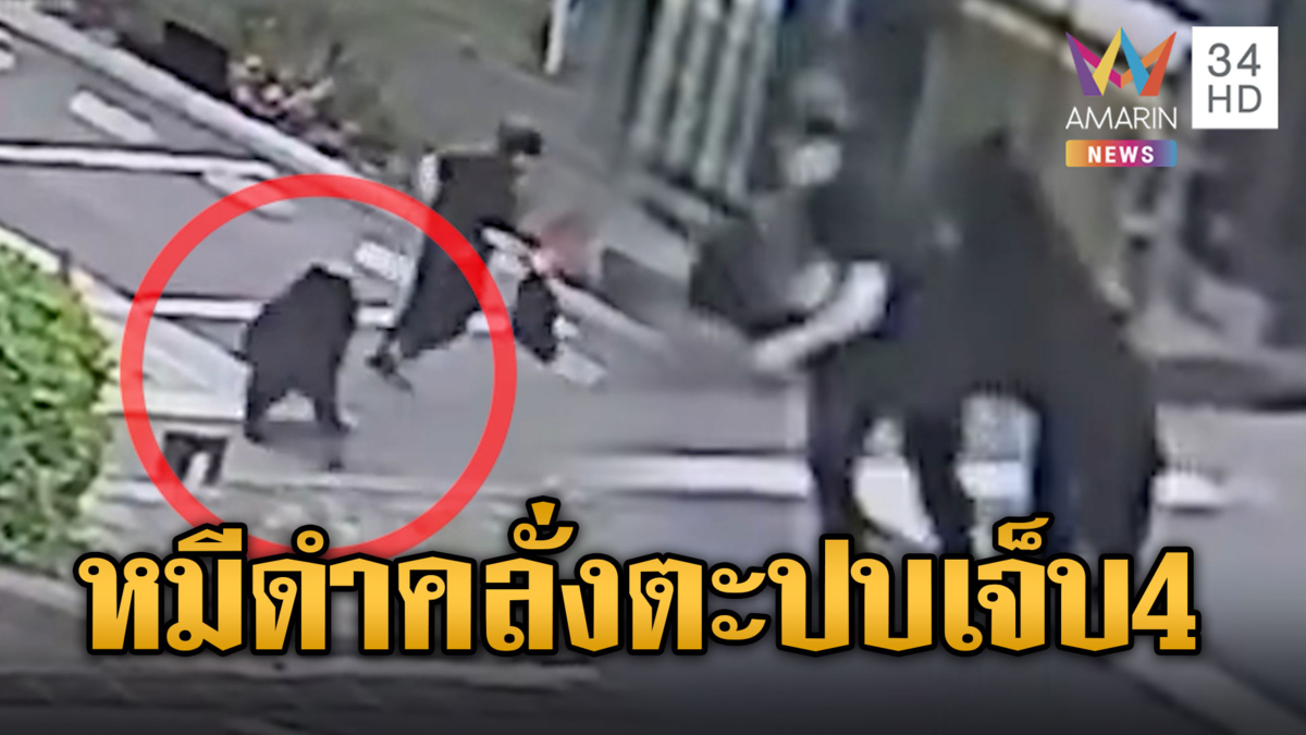 ระทึกกลางเมืองญี่ปุ่น! หมีดำโจมตีคนบาดเจ็บ 4 ราย
