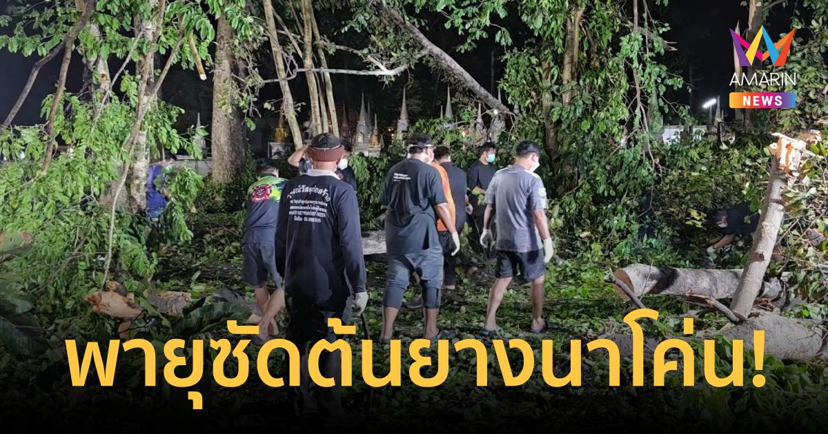 พายุถล่มนครนายก! ซัดต้นยางนากว่า 100 ปี โค่นล้ม ค้างคาวแม่ไก