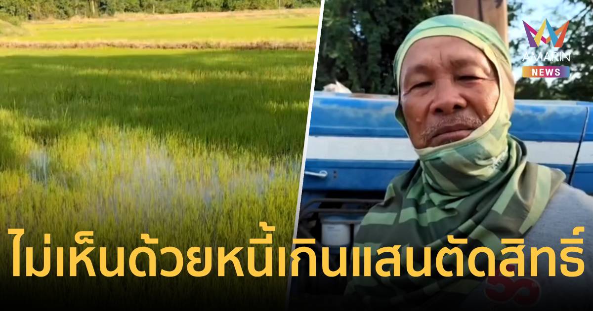 ชาวนาโคราชโวย! เกณฑ์ใหม่หนี้เกินแสนตัดสิทธิ์บัตรคนจน