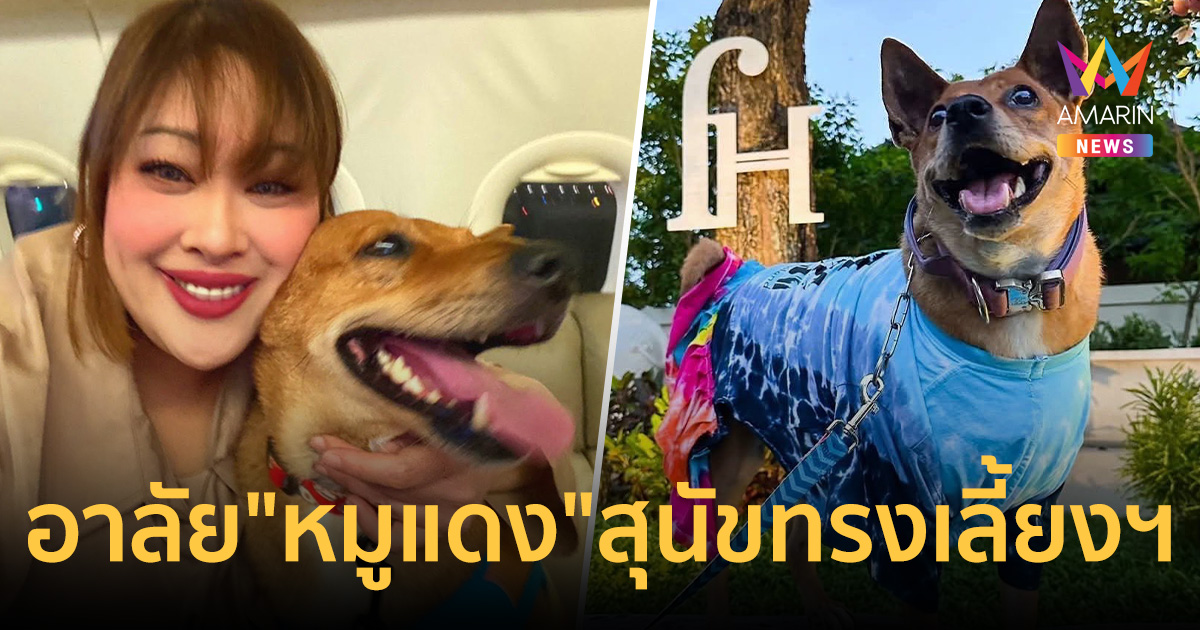 ชาวโคราชอาลัย "หมูแดง" สุนัขทรงเลี้ยงฯ หลังป่วยไตวายเฉียบพลั