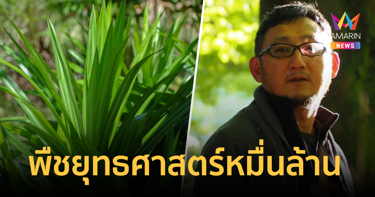 ประภาส ชลศรานนท์ แนะดัน 
