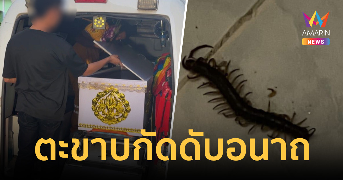 อดีตสาวโรงงานดับหลังตะขาบกัด แฟนหนุ่มเศร้าสิทธิหมด-ไม่มีเงินรักษา
