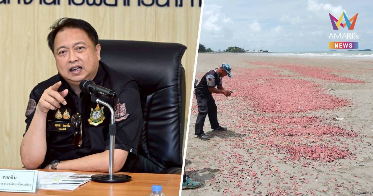 ระยองแตกตื่น! "ปลิงชมพู" นับล้านโผล่เต็มหาดยาว-เตือน นทท. ห้ามจับ