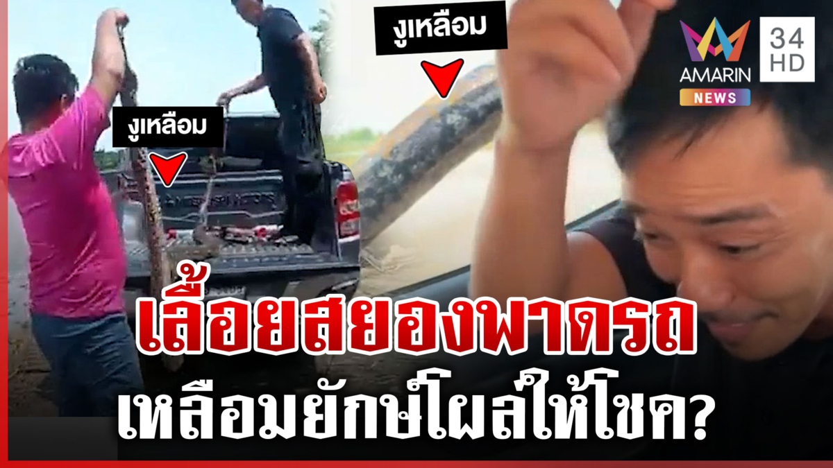 กรี๊ดสนั่น! งูเหลือมพันรอบรถ หลังนายกฯ จับขึ้นรถหวังช่วยปชช.
