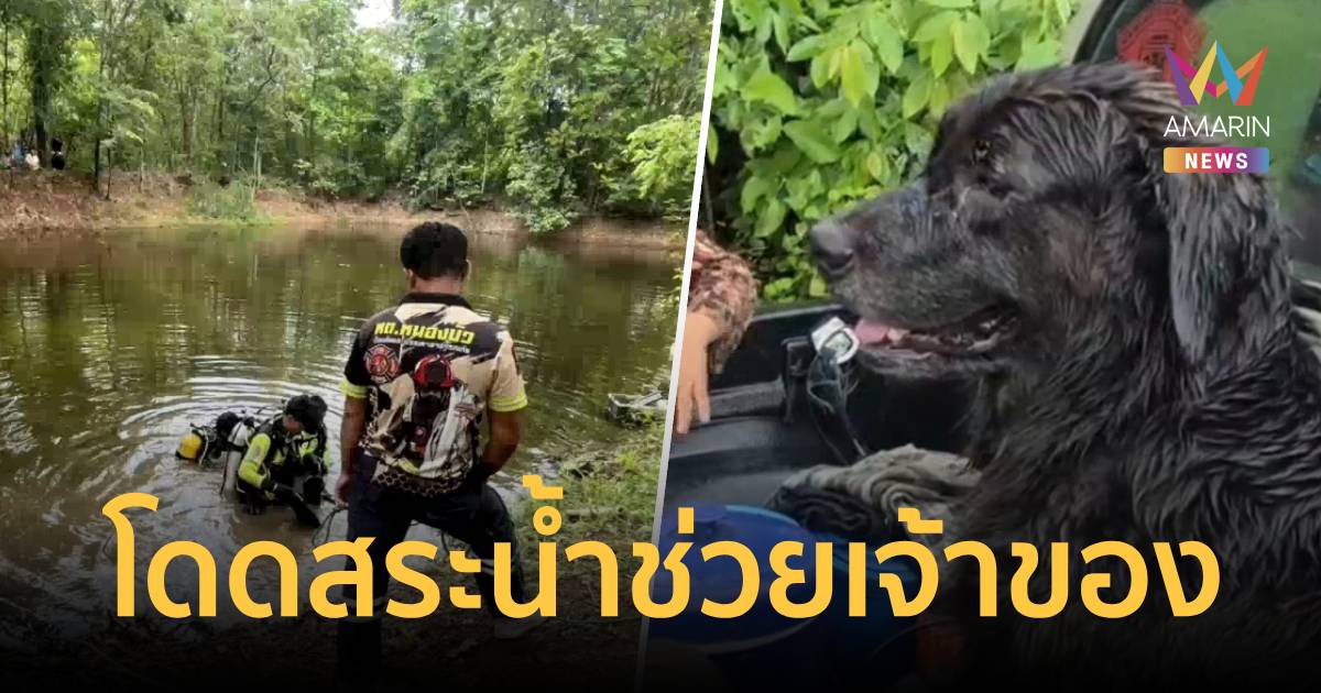 สุดสลด! “เจ้าชีต้าร์” โกลเด้นแสนรู้ โดดสระช่วยเจ้านายจมน้ำ