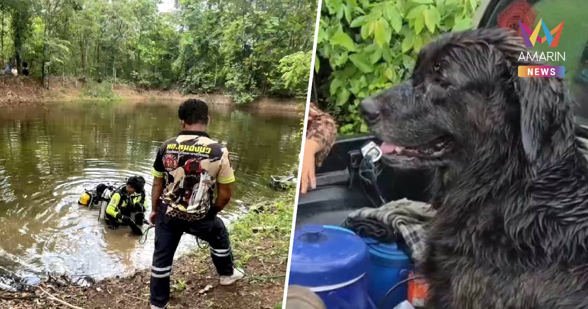 สุดสลด! “เจ้าชีต้าร์” โกลเด้นแสนรู้ โดดสระช่วยเจ้านายจมน้ำ