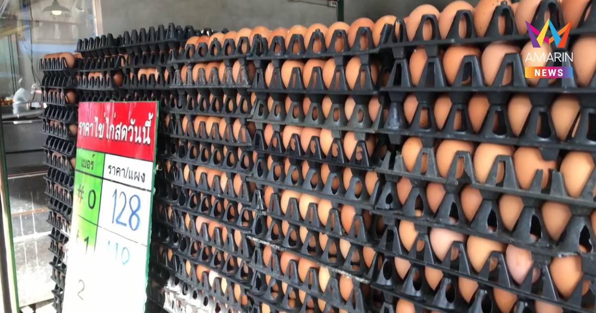 สุดอั้น! ไข่ไก่เชียงใหม่เตรียมขยับราคา แพงสุดเป็นประวัติการณ์