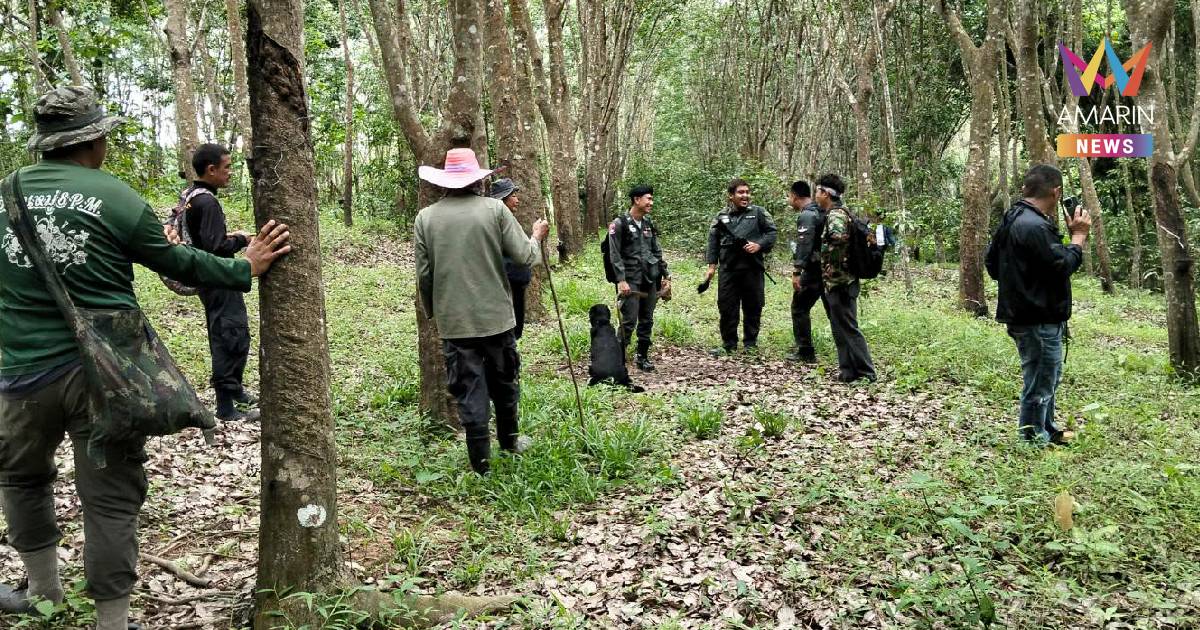 ล่าไม่ถอย! ส่ง K9-โดรนความร้อน ปูพรมป่าภูซาง ไล่ล่ามือฆ่าโหดสาวม้ง