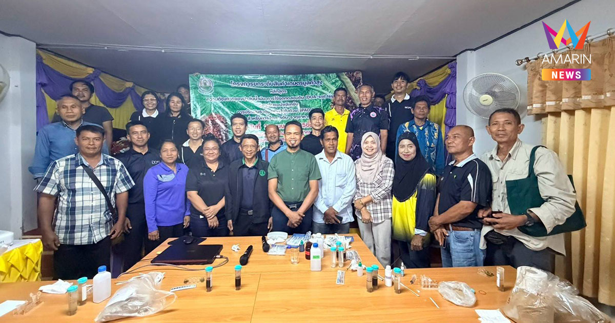 กรมวิชาการเกษตร ยกระดับปาล์มน้ำมันมูลค่าสูง ถ่ายทอดเทคโนโลยีจัดการดิน